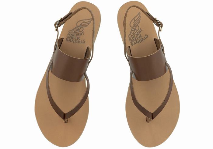 Sandales Bride Arrière Ancient Greek Sandals Zoe Flip Flop Leather   | RQX-9698423